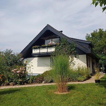 Ferienwohnung Sylvia Michelstadt Exterior photo
